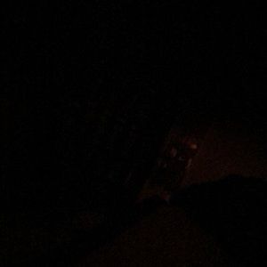 Meet your Posher, Martha